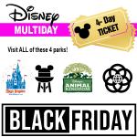 Disney World 4 Day Ticket