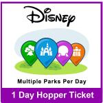 1 Day Park Hopper Ticket - Disney Florida
