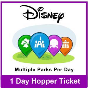 1 Day Park Hopper Ticket - Disney Florida